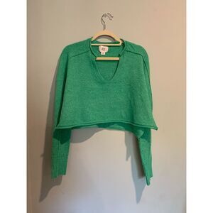 BDG Green Crop Top Sweater